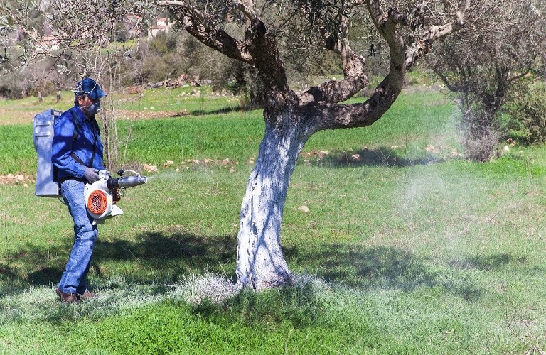 Πιλοτική εφαρμογή τεχνολογιών γεωπληροφορικής και αυτοματισμού για τη δακοκτονία