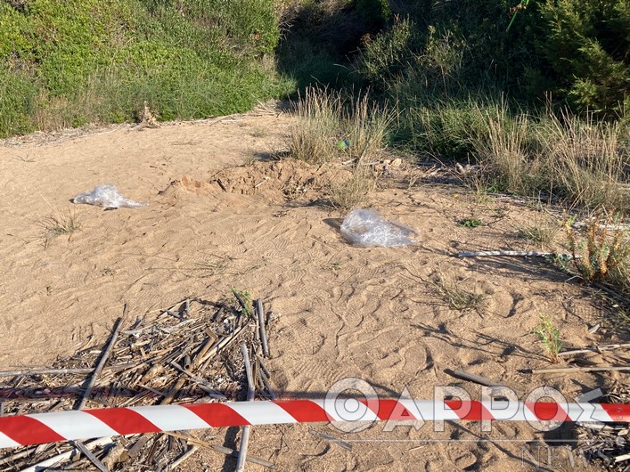 Δολοφονία στην Κυπαρισσία: Συνελήφθη και ο 24χρονος Ρομά