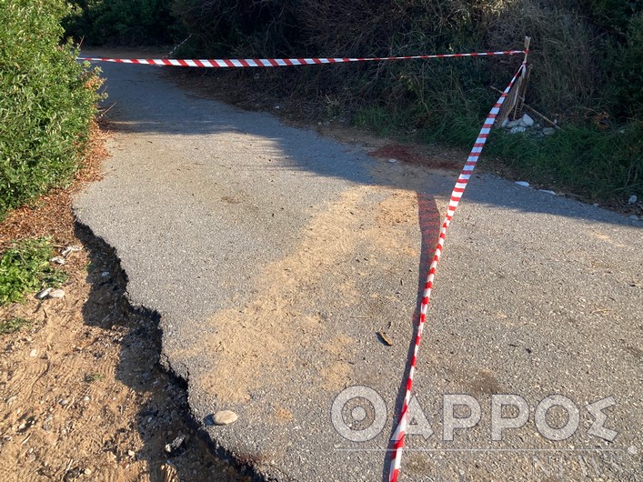 Μεσσηνία: Εξιχνιάστηκε η δολοφονία στην Κυπαρισσία