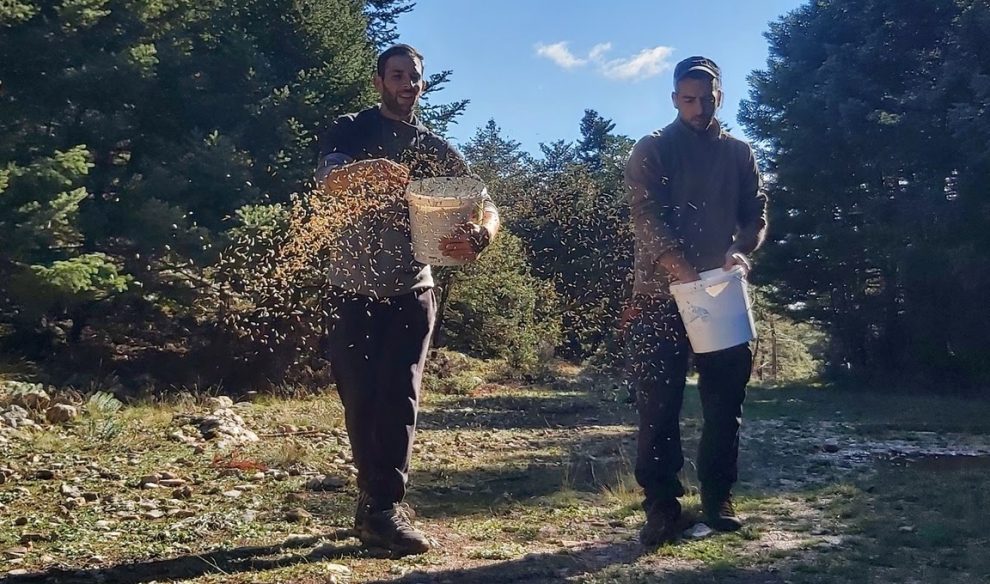 Σπορές για τη φυσική  ανάταση των ενδημικών θηραμάτων από τον Κυνηγετικό Σύλλογο Καλαμάτας