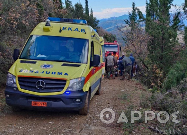 Μεσσηνία: Άγιο είχε κυνηγός που έπεσε σε γκρεμό