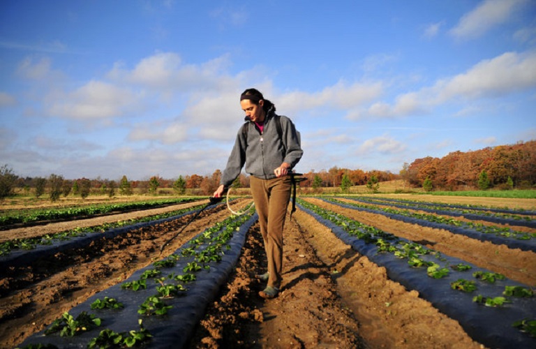 Νέοι Αγρότες -Πελοπόννησος: 1.468 οι τελικοί δικαιούχοι με συνολική δαπάνη 54 εκατομμύρια ευρώ
