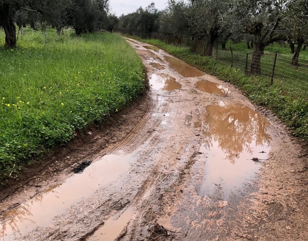 Αγροτικοί Σύλλογοι Τριφυλίας για Αγροτική Οδοιποιία: «Κάποιοι μάλλον ζουν σε άλλη Τριφυλία»