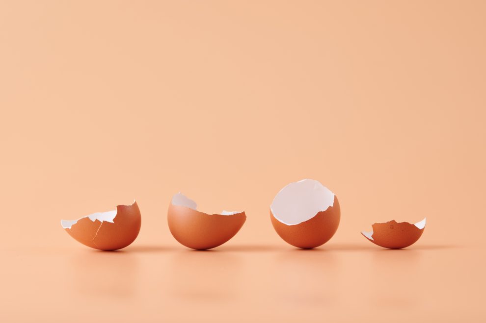 «To πουλί αγωνίζεται για να βγει από το αυγό. Το αυγό είναι ο κόσμος του. Αυτός που θέλει να γεννηθεί πρέπει πρώτα να καταστρέψει έναν κόσμο»