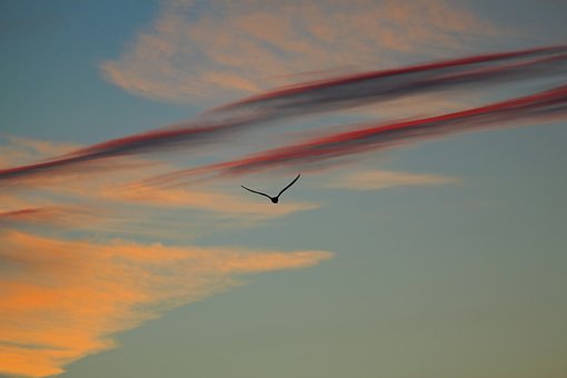 «Καμιά φορά το σφύριγμα ενός τραίνου μες στη νύχτα έχει κάτι απ’ την αιώνια αναχώρηση ‒ω μη μιλάτε‒ ίσως να μην ξημερώσει πια»