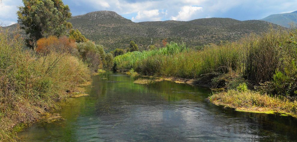 Η πανίδα χάνεται, η Ελλάδα μαζεύει καταδίκες…