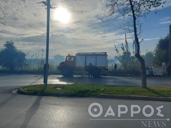 Φωτιά σε οικόπεδο στην Αρτέμιδος