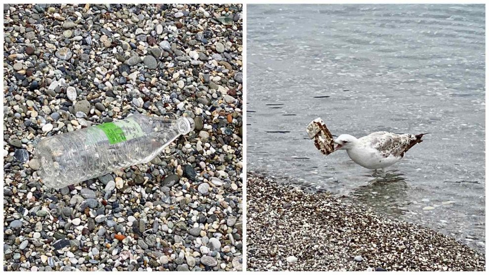 Σκουπίδια και πλαστικά  στην παραλία της Καλαμάτας