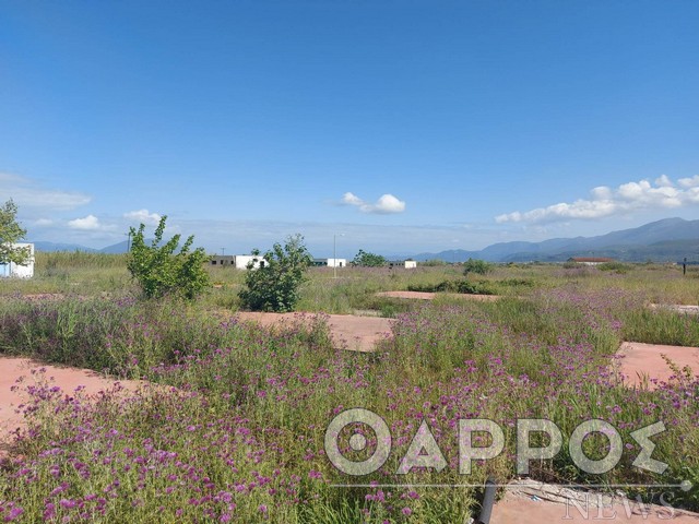 Ξεκινά η μετεγκατάσταση  των Ρομά της Αγίας Τριάδας στην Μπιρμπίτα