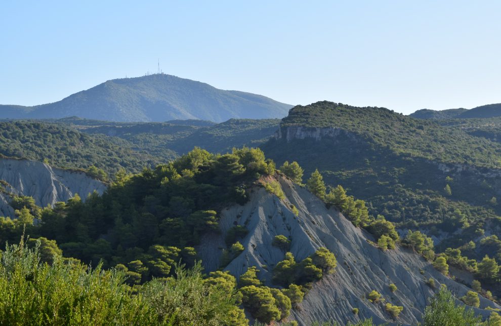 Επισκέψιμο το νέο Φραγκικό Μονοπάτι Πευκοδάσους  στους Κάτω Αμπελόκηπους