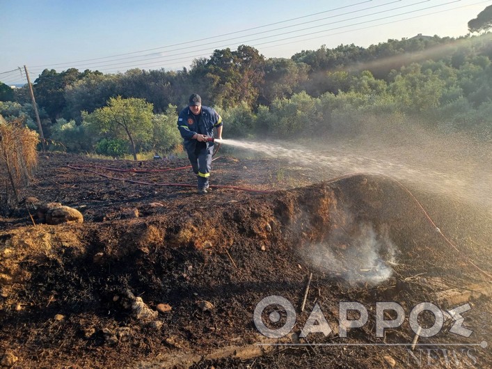 Καλαμάτα: Φωτιά στο Πέταλο