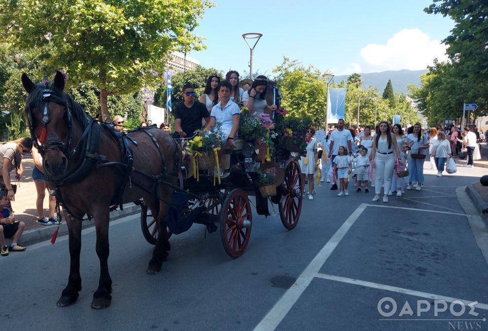 Καλαμάτα: Ο λουλουδένιος περίπατος γέμισε χρώματα και χαμόγελα την Αριστομένους