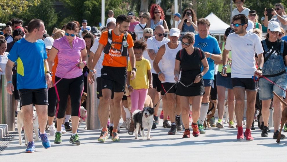 Penny Marathon 2023: Με επίκεντρο την Μπούκα αύριο αθλητικές  και παράλληλες εκδηλώσεις για τα αδέσποτα