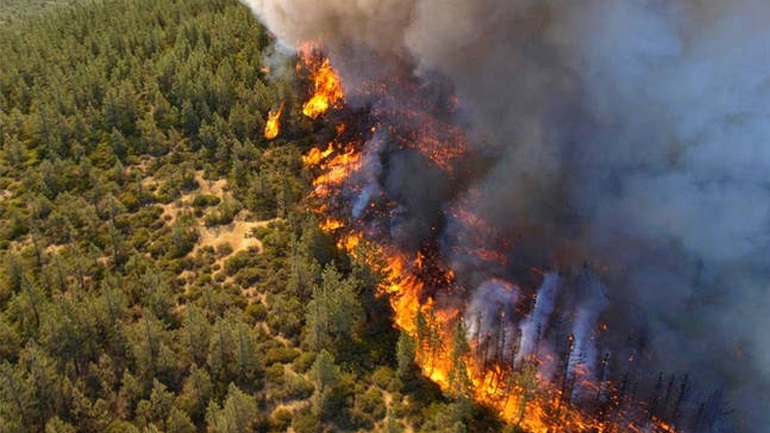 Αγωνιστική Συνεργασία Πελοποννήσου: «Το διαχρονικό έγκλημα των πυρκαγιών»