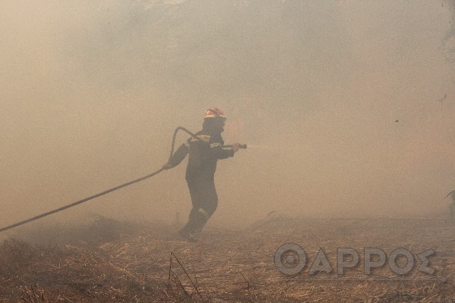 Σε κατάσταση συναγερμού  σήμερα η Μεσσηνία – Ακραίος κίνδυνος εκδήλωσης πυρκαγιάς