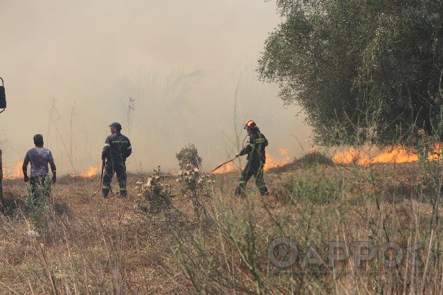 Υψηλός κίνδυνος πυρκαγιάς για την Περιφέρεια Πελοποννήσου σήμερα