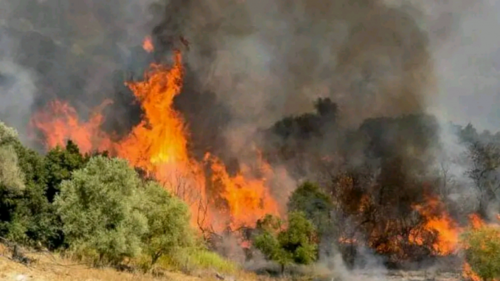 Παραμένει υψηλός  ο κίνδυνος πυρκαγιάς (κατηγορία 3) για σήμερα στη Μεσσηνία