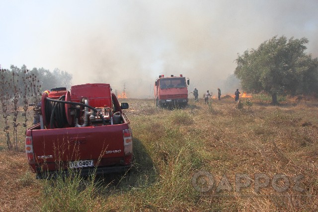 Πολύ υψηλός κίνδυνος  πυρκαγιάς σήμερα στη Μεσσηνία