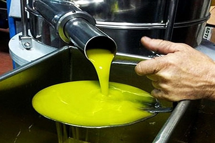 Olive oil: With prices rising…September opens