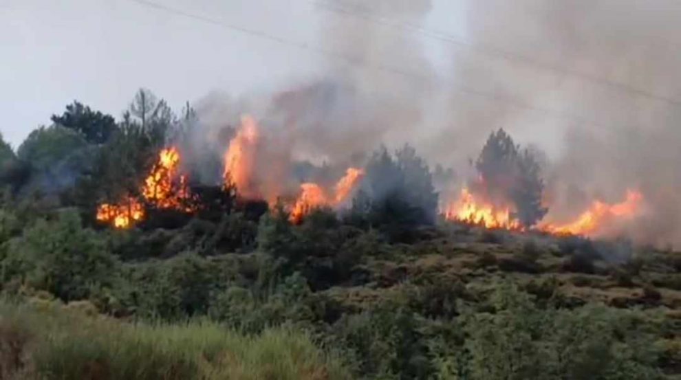 Άμεσα σβήστηκαν δύο  πυρκαγιές από κεραυνούς  στον Ταΰγετο