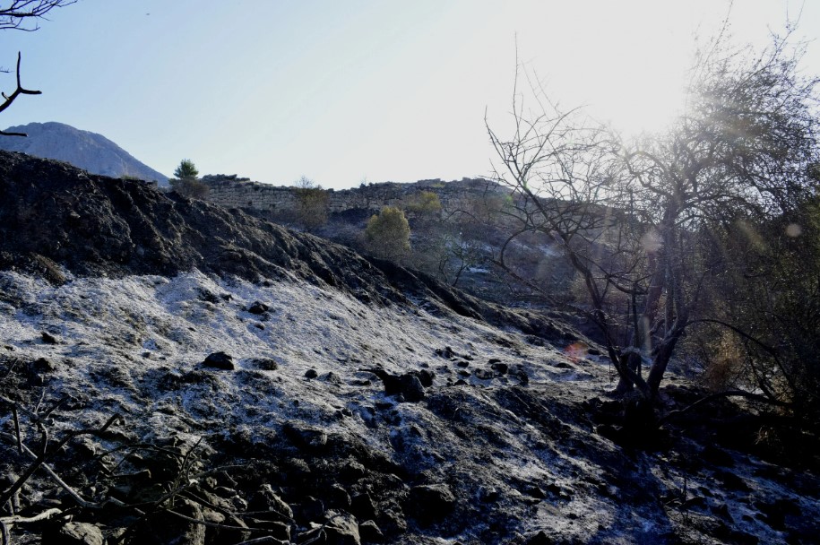 Καμένη γη