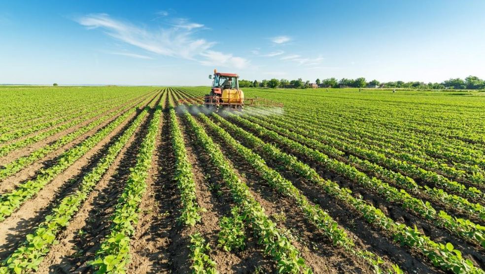 ΟΣΔΕ: Ποιες καλλιέργειες  δηλώνονται για ενίσχυση