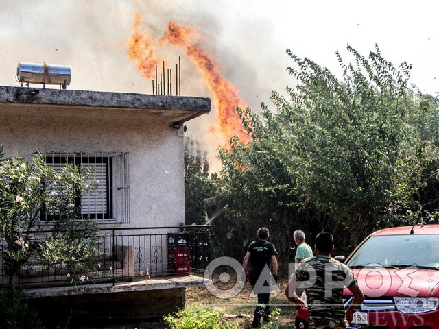 Φωτιά σε Αριοχώρι – Ασπροπουλιά: Η τεράστια κινητοποίηση  αποσόβησε τα χειρότερα