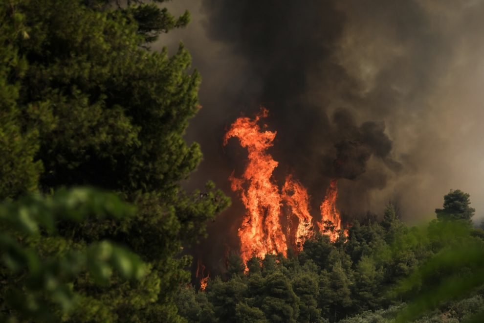 Υψηλός κίνδυνος πυρκαγιάς σήμερα στη Μεσσηνία
