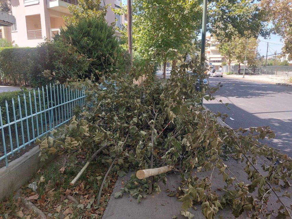 Μέρες τώρα παρατημένα κλαδιά στην Κρήτης