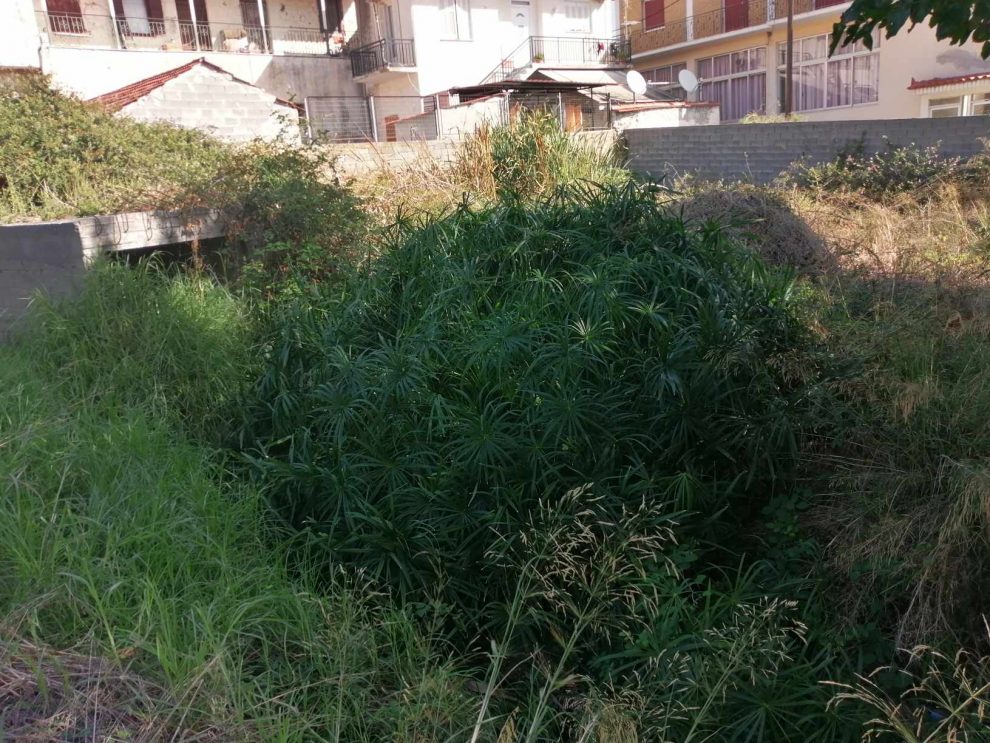 Ακαθάριστο ρέμα απειλεί  σπίτια και περιουσίες στη Βαλύρα