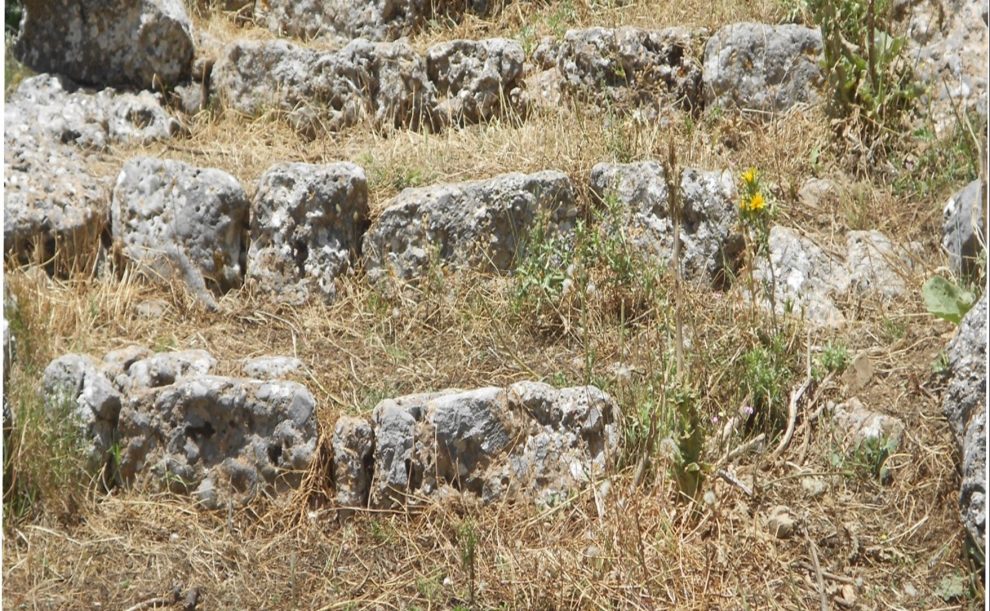 Καλντερίμια, ξερολιθιές και πεζούλες: η σχέση τους  με περιβάλλον, βιοποικιλότητα και βιώσιμη ανάπτυξη