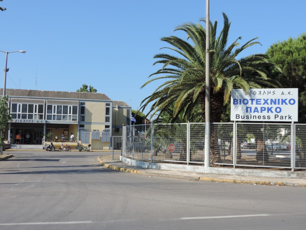 Άναμμα δένδρου  στο Βιοτεχνικό  Πάρκο Καλαμάτας