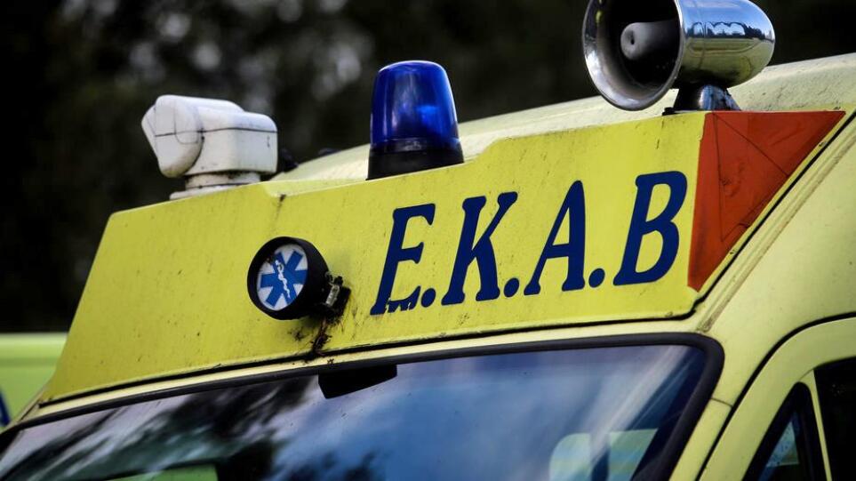 Θεσσαλονίκη: Σκυλιά κατασπάραξαν και σκότωσαν 50χρονη γυναίκα σε αυλή σπιτιού