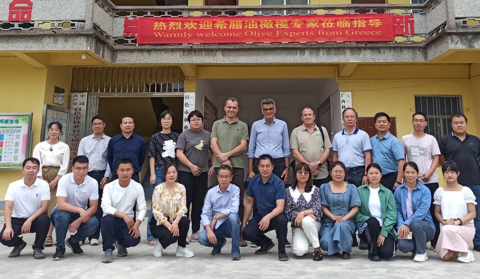 Αποστολή του ΕΛΓΟ-ΔΗΜΗΤΡΑ στην Κίνα για  προώθηση της ελαιοκαλλιέργειας