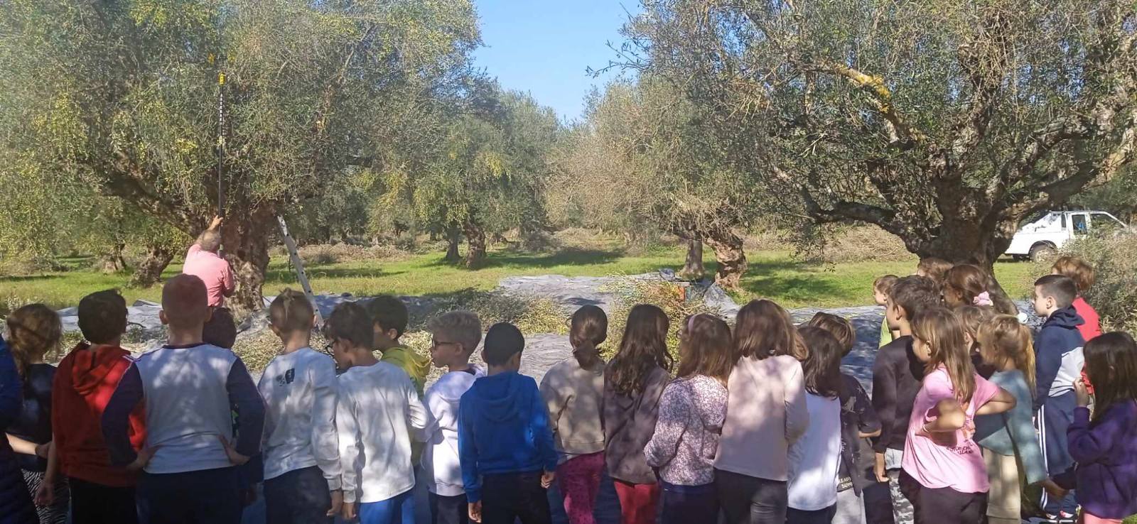 Παιδιά του του 24ου Δημοτικού Σχολείου Καλαμάτας «είδαν πώς βγαίνει το λάδι»