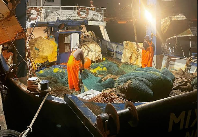 Αν φύγουν οι Αιγύπτιοι,  τελειώνει η μέση αλιεία στην Ελλάδα
