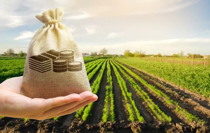 ΕΛΣΤΑΤ: Σε υψηλά επίπεδα  οι τιμές των αγροτικών προϊόντων