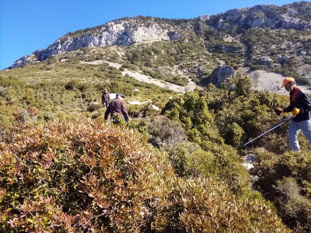 Καθαρισμός και σήμανση  μονοπατιών στο Καλάθι από τον Ορειβατικό Σύλλογο Καλαμάτας