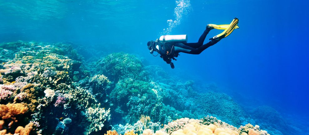 Χρόνια σχεδιάζεται  η δημιουργία καταδυτικού πάρκου