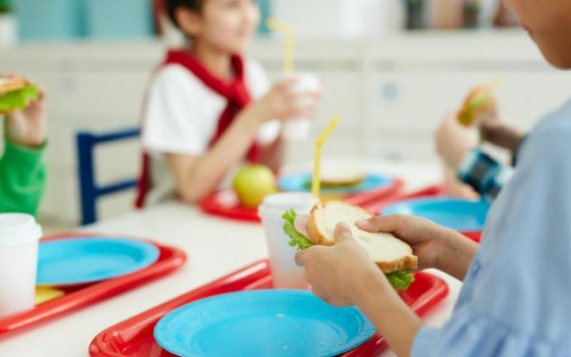 Δήμος Μεσσήνης: Εντάσσεται στους Δήμους παροχής  σχολικών γευμάτων για μαθητές