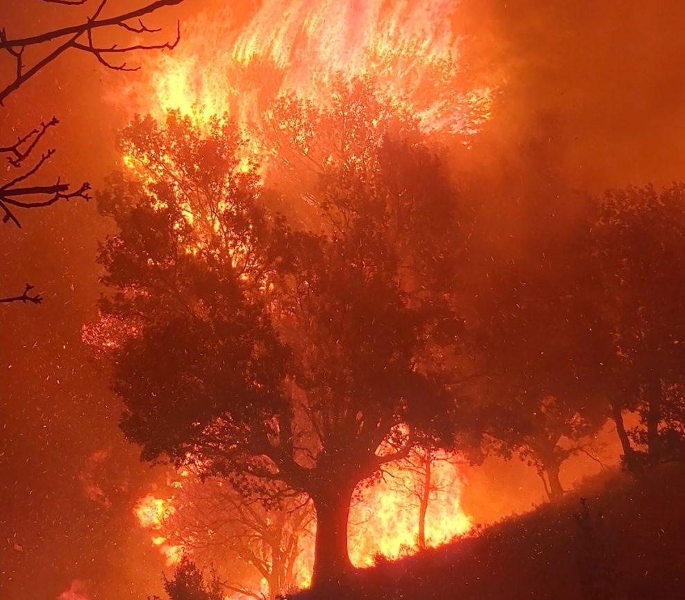 Πυρκαγιά στη Δήμιοβα: Ολονύχτια μάχη με τις φλόγες – Εκκενώθηκε προληπτικά οικισμός