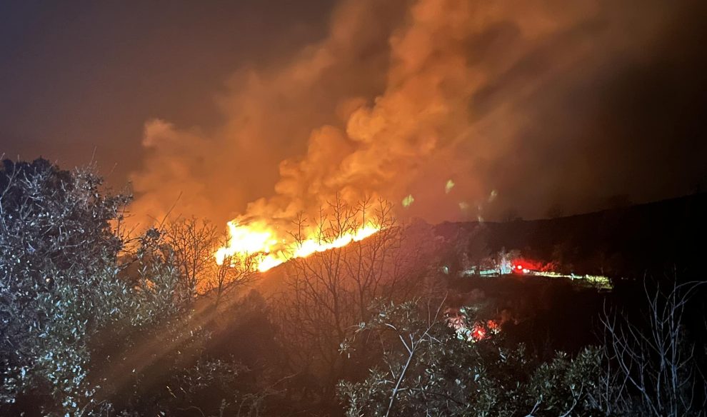 80 στρέμματα έκαψε η φωτιά στη Δήμιοβα