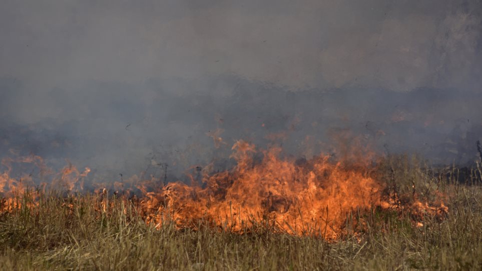 Βραδυφλεγείς βόμβες  τα ακαθάριστα οικόπεδα στην Καλαμάτα