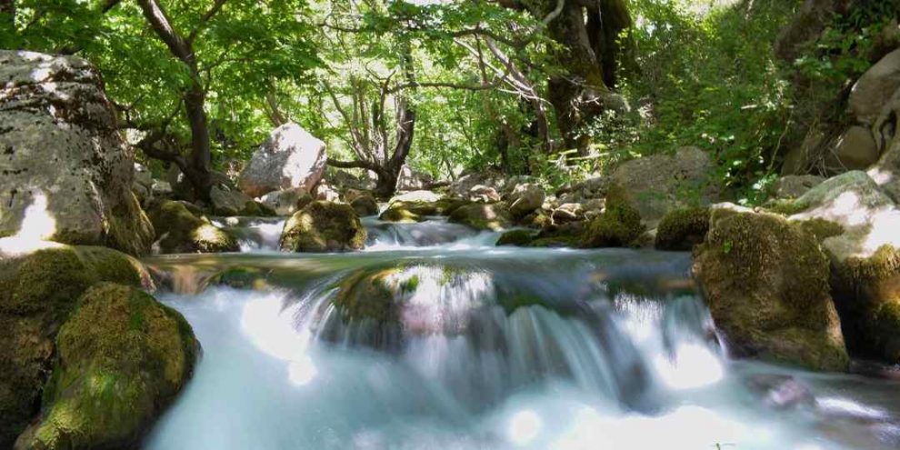 Για το υδροηλεκτρικό στη Νέδα συζητά αύριο η Επιτροπή Περιβάλλοντος της Περιφέρειας