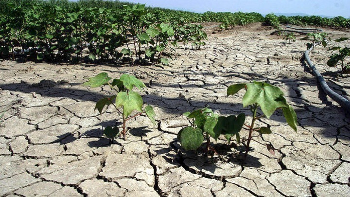 Συνθήκες ξηρασίας σε μεγάλο μέρος της ηπειρωτικής Ελλάδας – Ποιες περιοχές κινδυνεύουν με ερημοποίηση