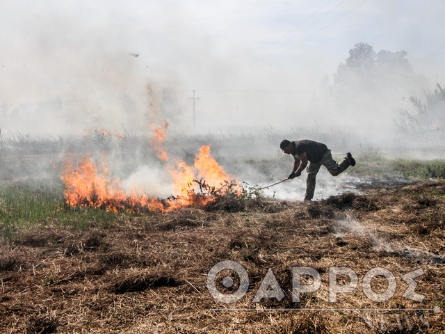 Στο… κόκκινο και σήμερα η Μεσσηνία  για κίνδυνο εκδήλωσης πυρκαγιών