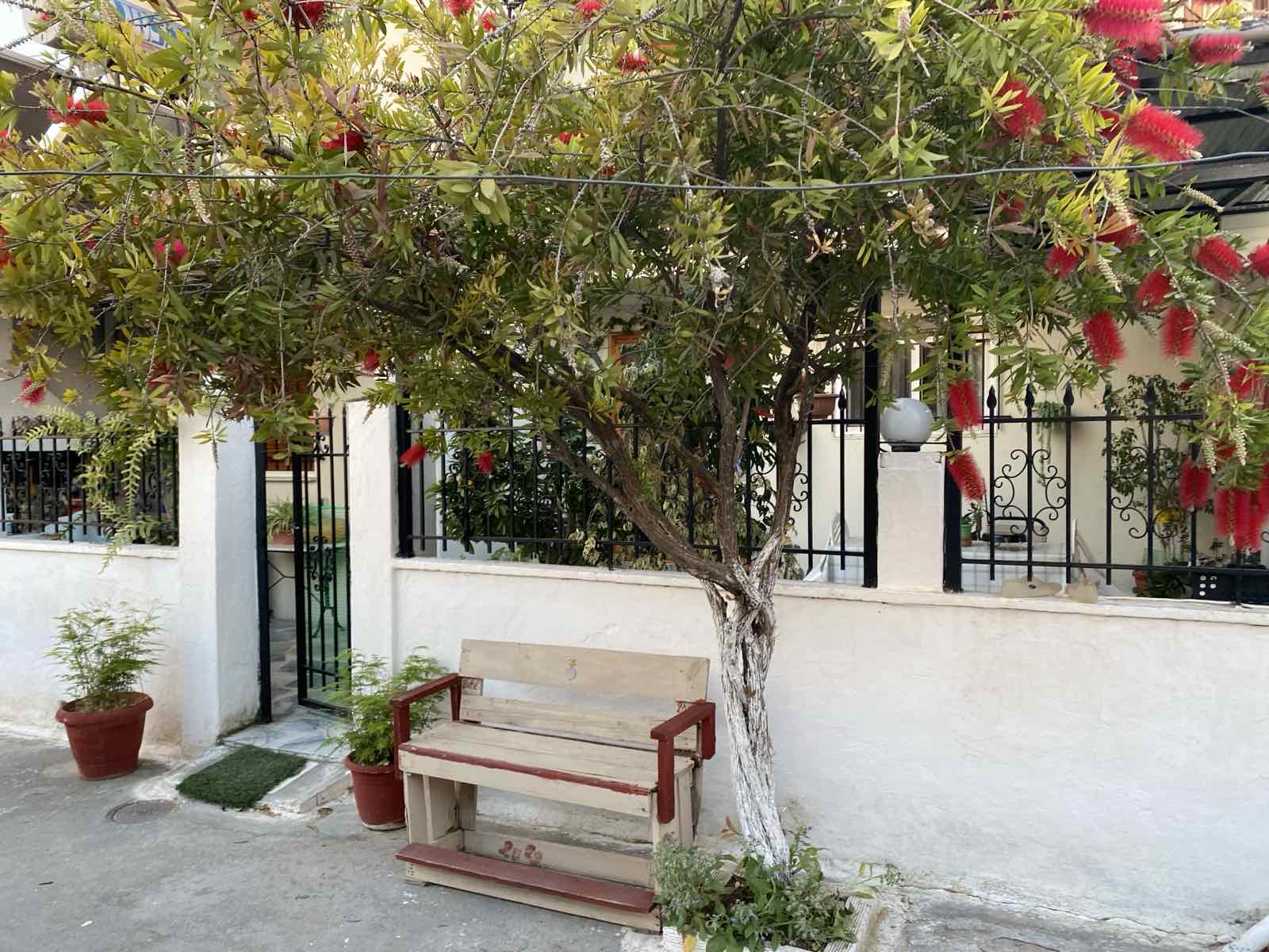 Εκεί που οι αυλές έγιναν σπίτια και οι δρόμοι γειτονιές