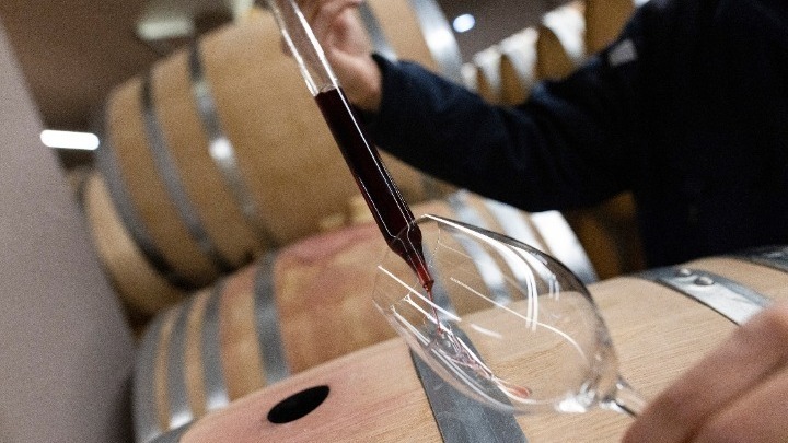 Προχωρά η σύμπραξη για την ανάπτυξη  των αμπελώνων «Navarino Vineyards»
