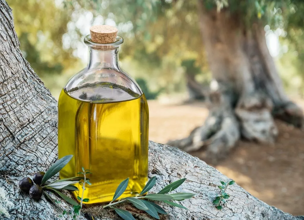Γ. Κόκκινος για ελαιόλαδο στη Μεσσηνία: Οι πολιτικοί ενδιαφέρονται μόνο  για την κοινοβουλευτική τους επιβίωση