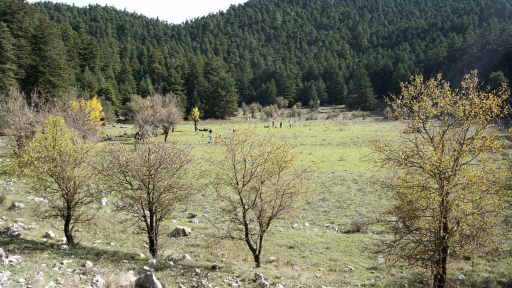 Πεζοπορία στο Καλάθι με τον Ορειβατικό Σύλλογο Καλαμάτας